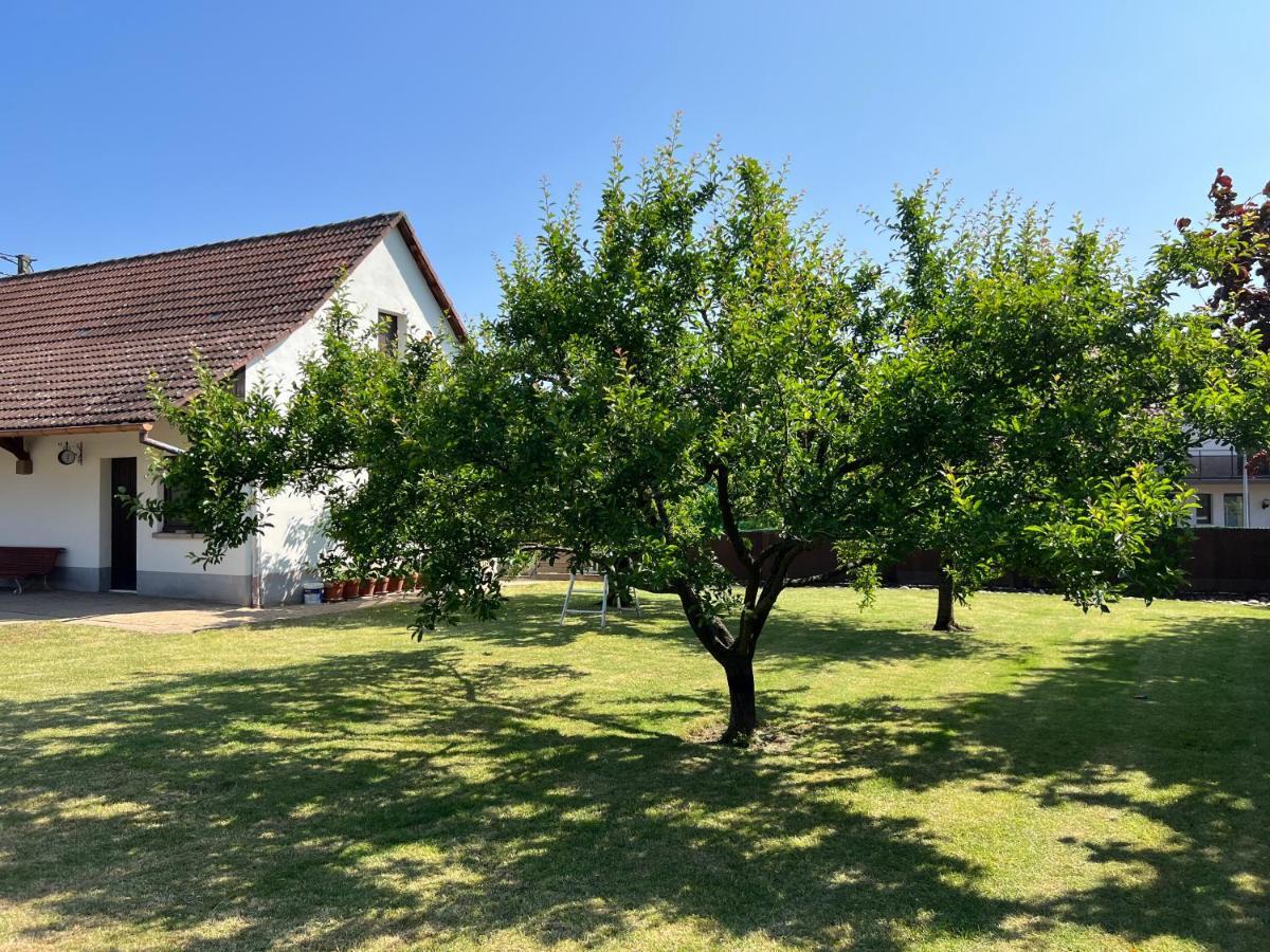 Bonne Idee - Suite Georgette - Meuble De Tourisme 3 Etoiles Chatenois  Luaran gambar